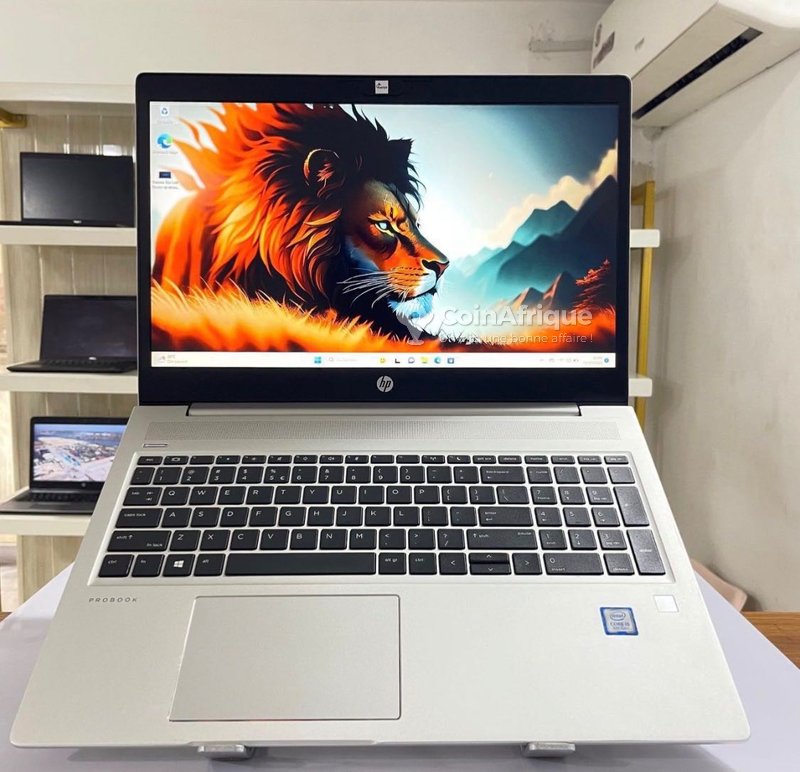 HP ProBook 450 G6 Core i5 8e gén.