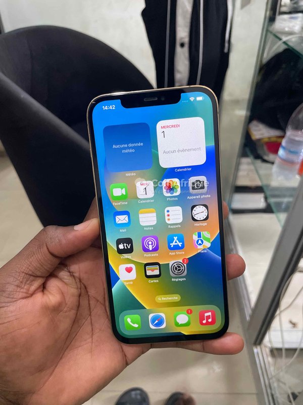 iPhone 12 Pro Max
