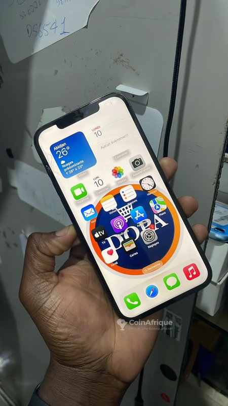 iPhone 12 Pro Max 128 Go – écran et dos fissurés