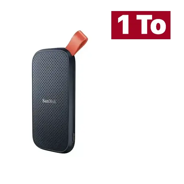 Disque dur SSD portable SanDisk 2e Gén – 1To – 800 Mo/S – Type-C – SDSSDE30-1T00-G26