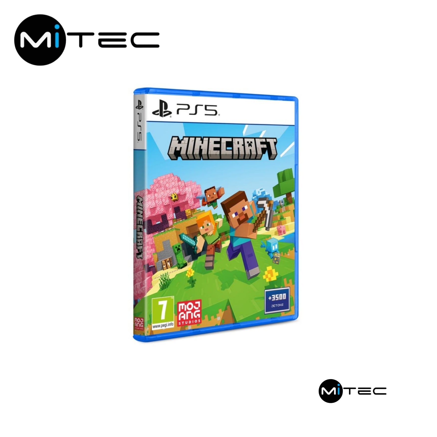 Jeu PS5 Minecraft Neuf
