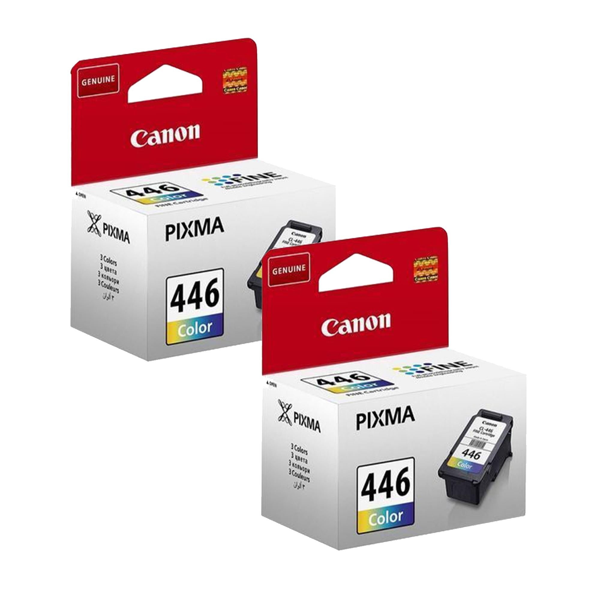 Lot de 2 cartouches 446 Couleur