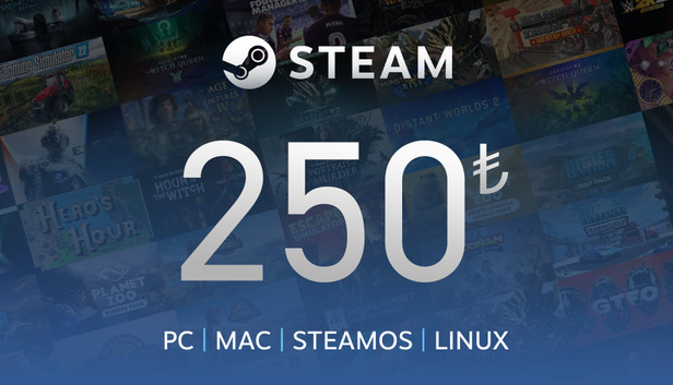 Steam Gift Card 250 TRY (Steam)