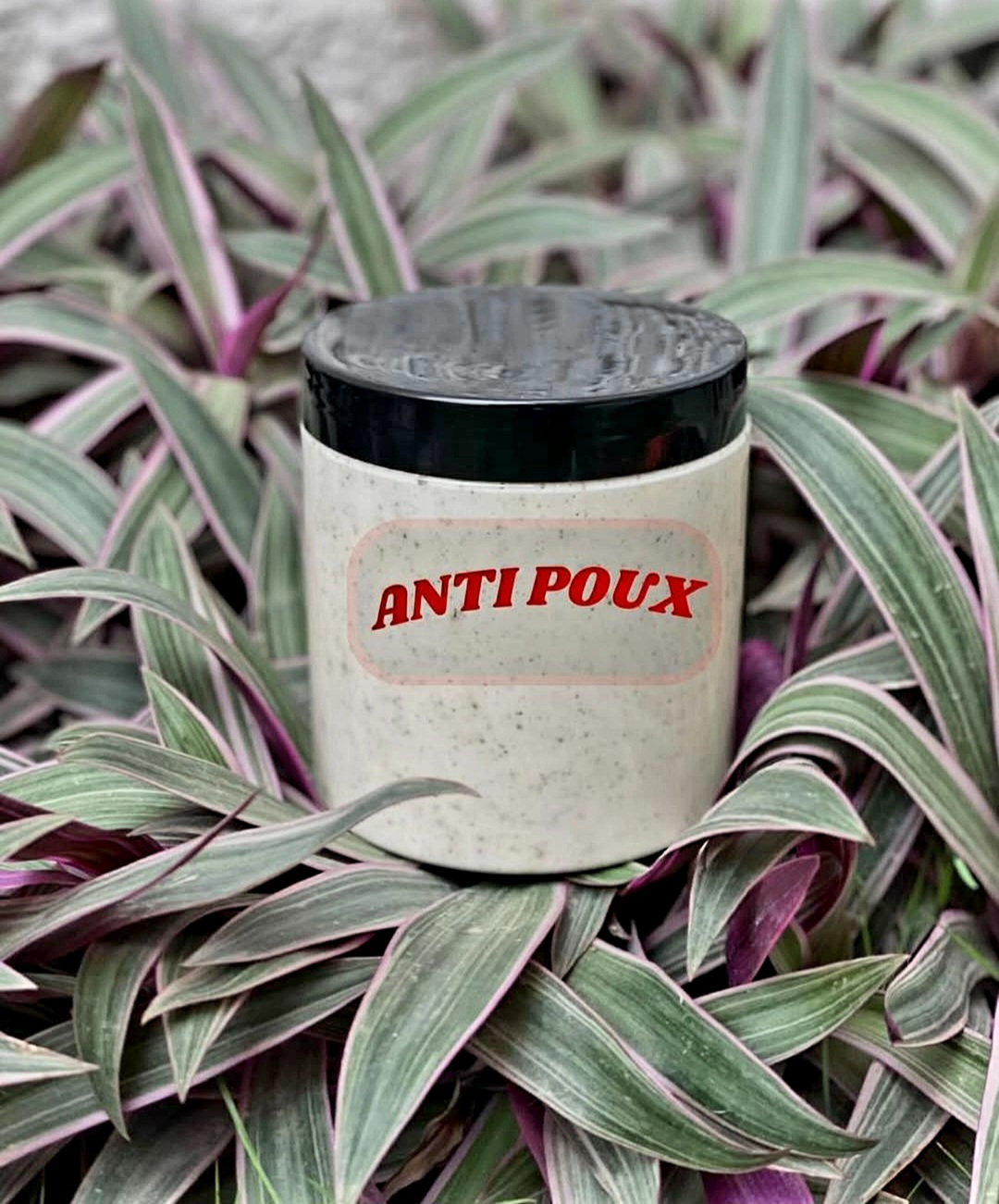 Anti Poux